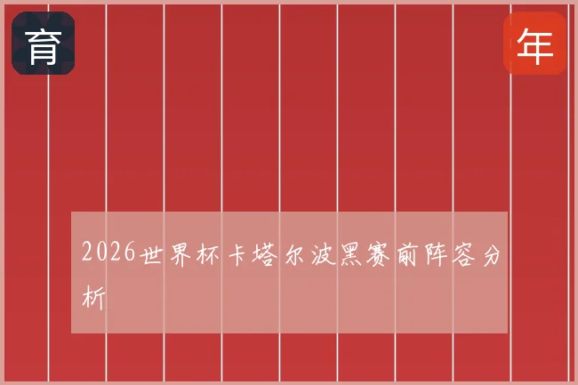 2026世界杯卡塔尔波黑赛前阵容分析